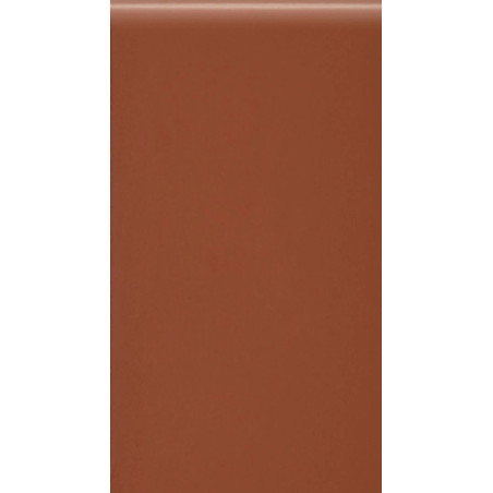 Parapet Gładki Rot Czerwony 10x20 Cerrad