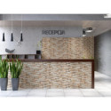Płytka ścienna Kallio terra 15x45 Cerrad