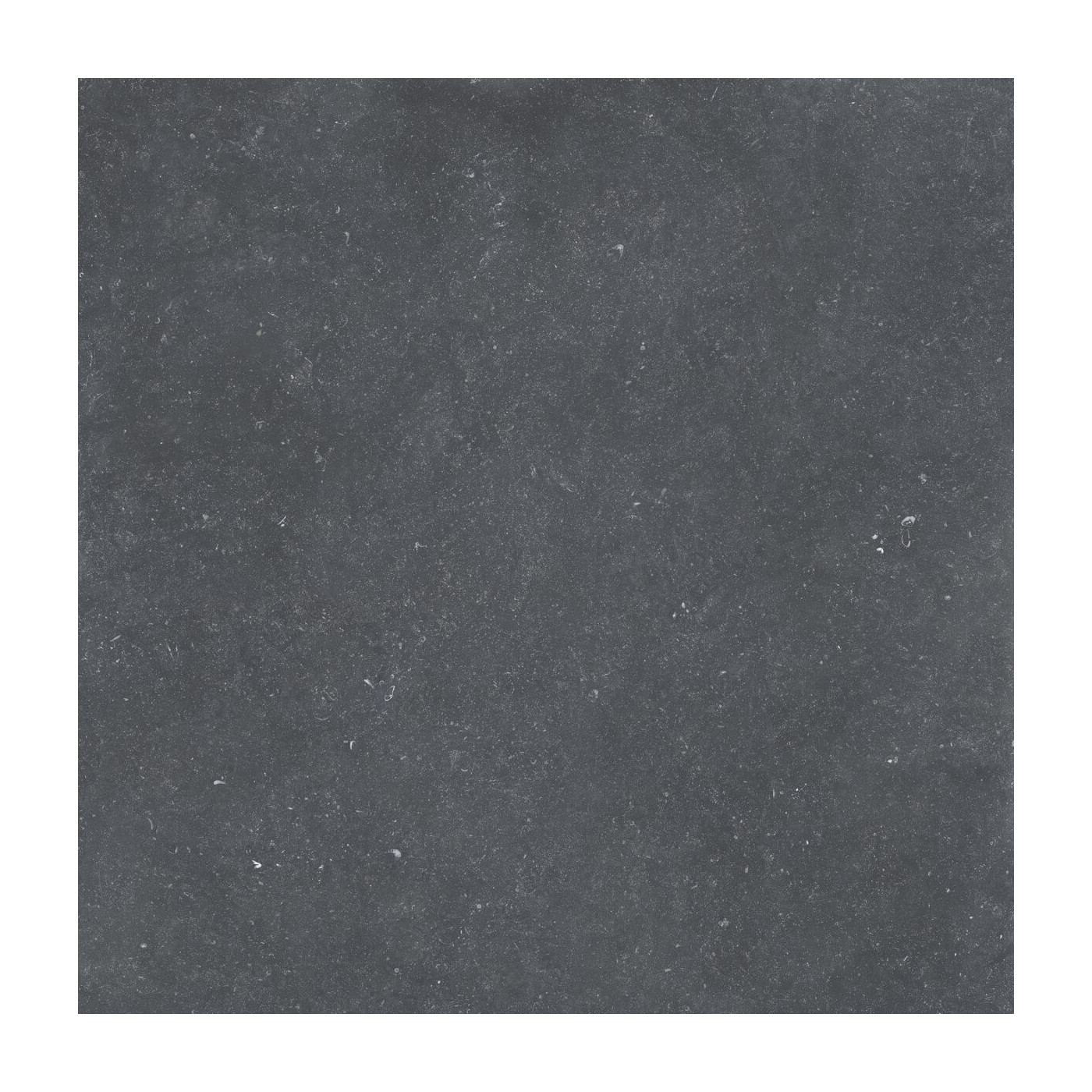 Płytka Belgica Black 20mm 59,7x59,7 Cerrad