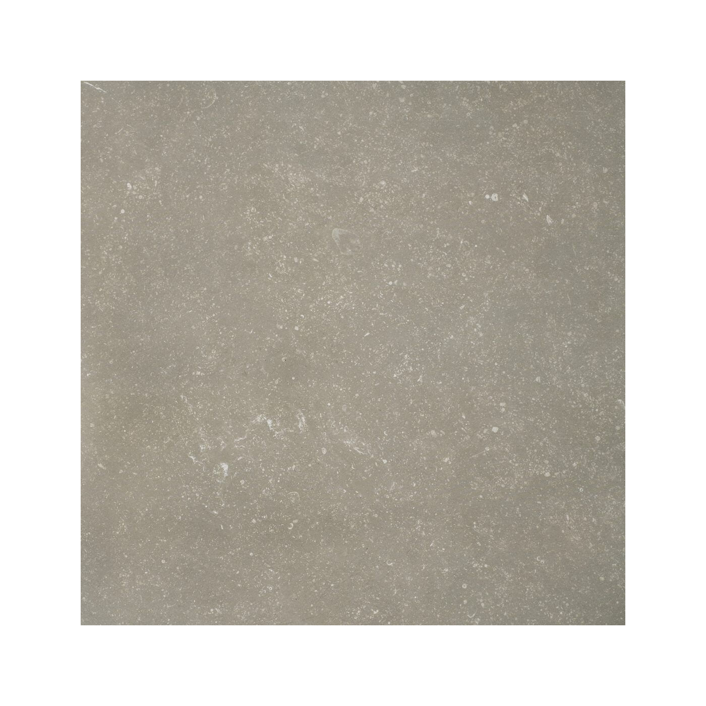 Płytka tarasowa 2 cm Belgica Grey 2.0 59,7x59,7 Cerrad