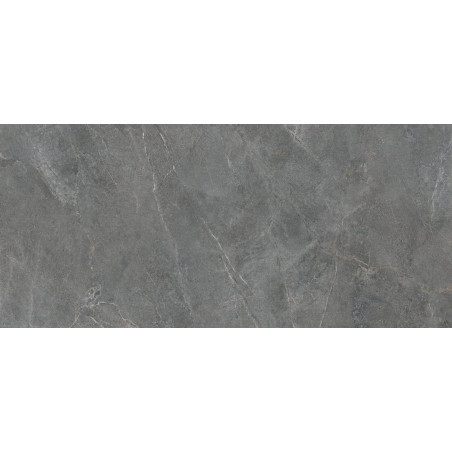 Płytka Podłogowa Distinct Grey Silky Cristal 279,7x119,7 Cerrad
