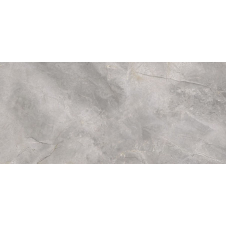 Płytka Gresowa Masterstone Silver Polished 119,7x279,7 Cerrad