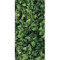 Dekor Dream Połysk 30x60 Paradyż Classica
