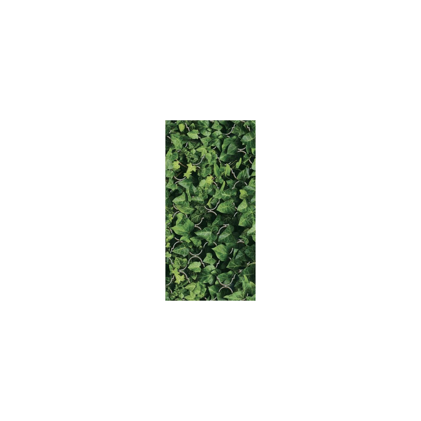 Dekor Dream Połysk 30x60 Paradyż Classica
