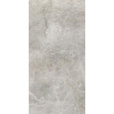 Płytka Tarasowa Burlington 2.0 Silver Struktura Mat 59,5x119,5 cm Paradyż