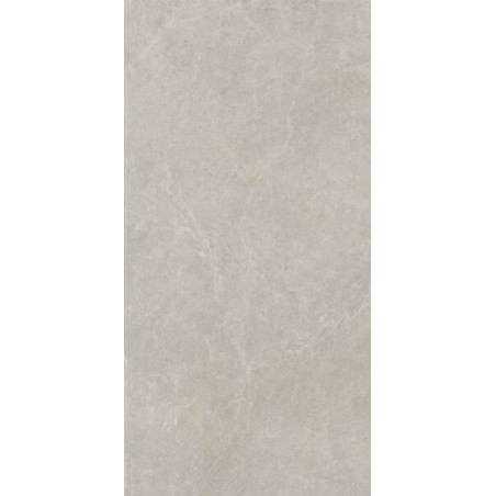 Płytka U118 Light Grey Lappato 59,8X119,8 Paradyż