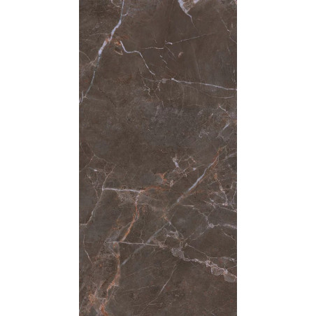 Płytka Podłogowa Proud Champagne Naturale Str. 119,8x59,8 Paradyż