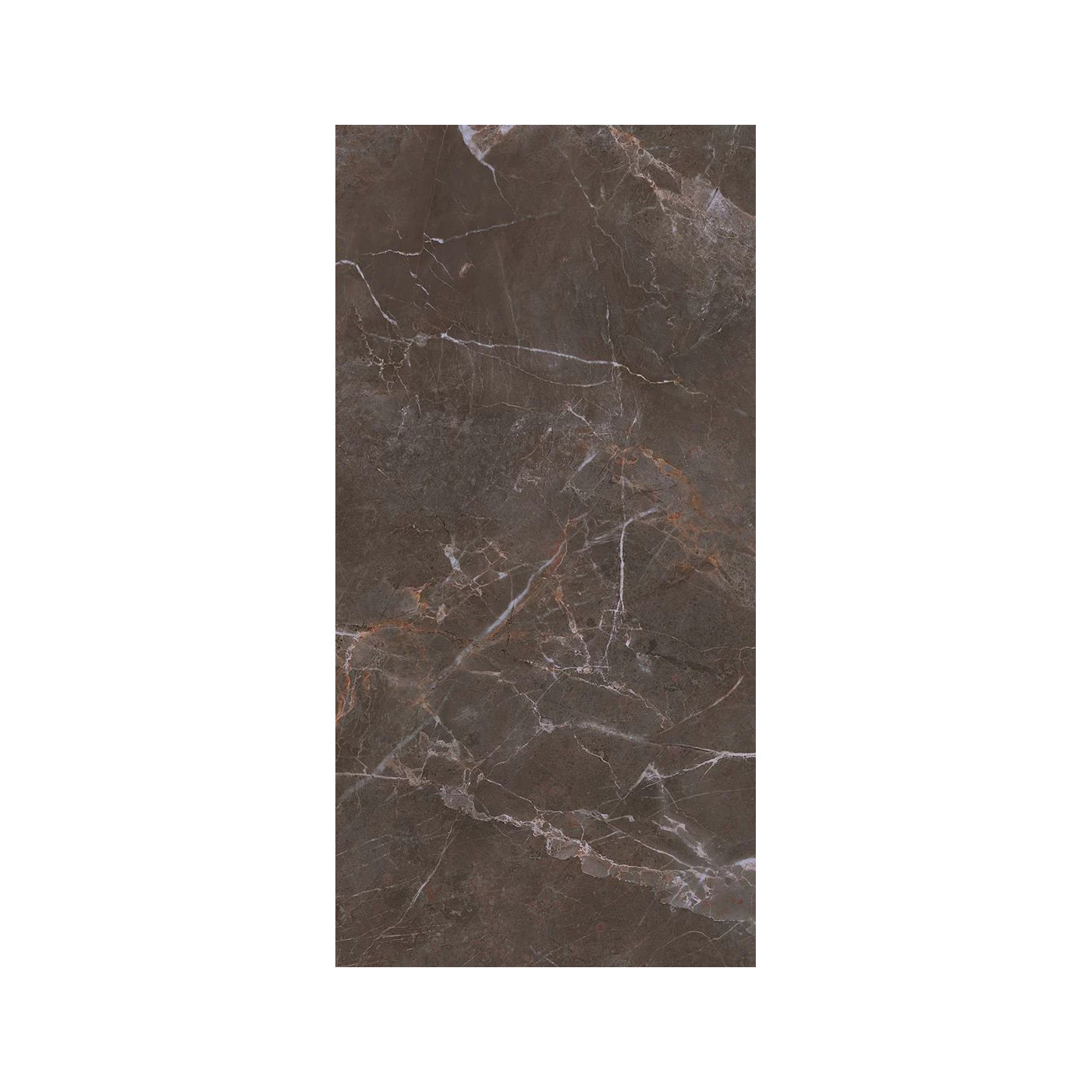 Płytka Podłogowa Proud Champagne Naturale Str. 119,8x59,8 Paradyż