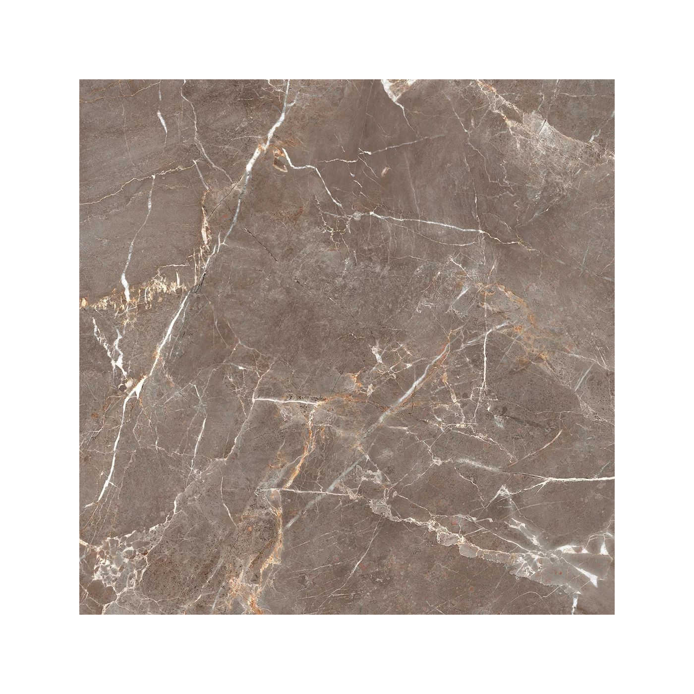 Płytka Podłogowa Proud Champagne Beige Str. 119,8x119,8 Paradyż