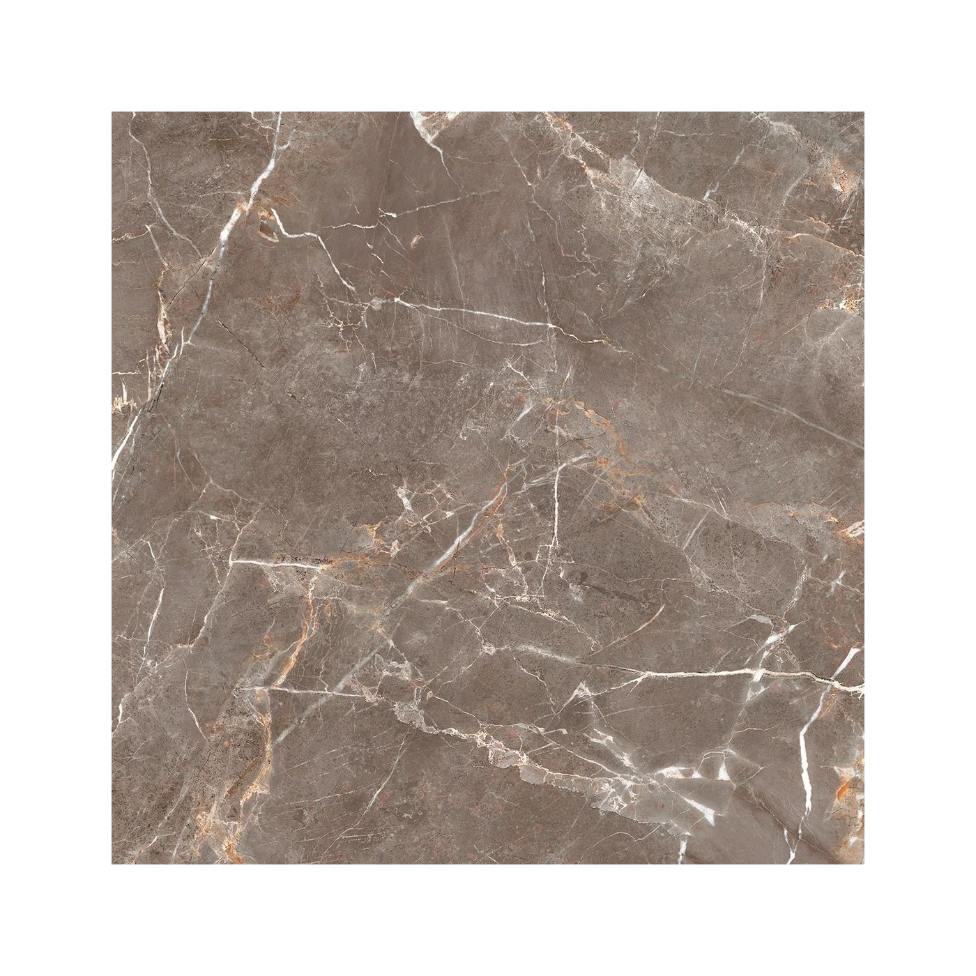 Płytka Podłogowa Proud Champagne Beige Str. 119,8x119,8 Paradyż