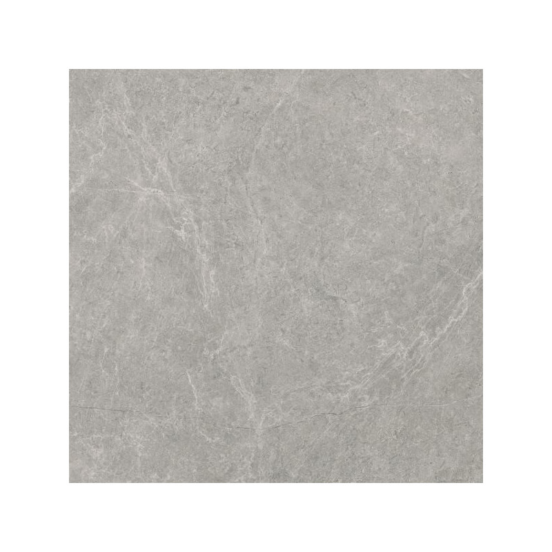 Płytka U118 Grey Mat 59,8X59,8 Paradyż