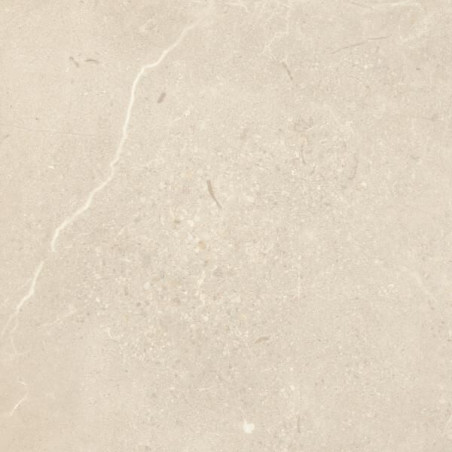 Płytka Sunnydust Light Beige Mat 59,8X59,8 Paradyż