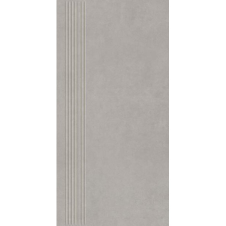 Stopnica Intero Silver Mat 29,8x59,8 Paradyż
