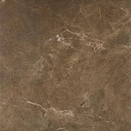Płytka Ibis Brown Mat 60x60 Paradyż