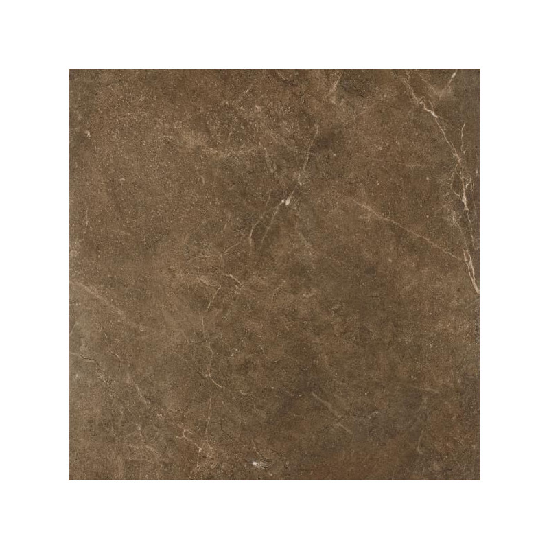 Płytka Ibis Brown Mat 60x60 Paradyż