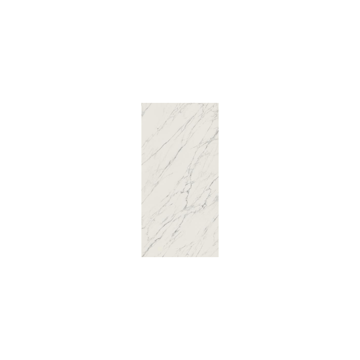 Płytka Elite White Mat 59,8x119,8 Paradyż My Way