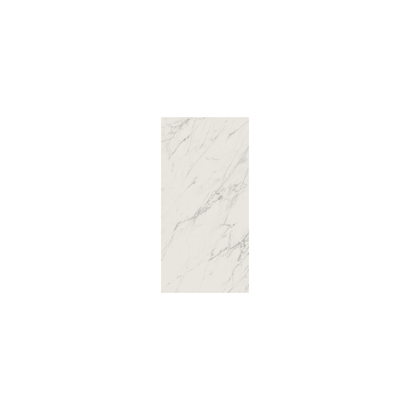 Płytka Elite White Mat 59,8x119,8 Paradyż My Way