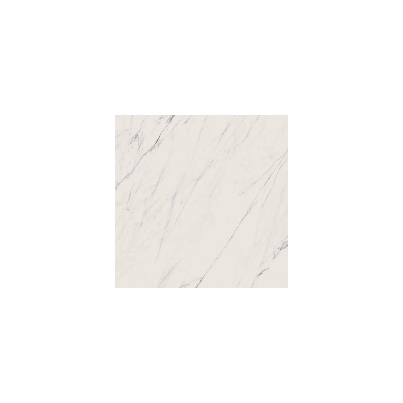Płytka Elite White Mat 59,8x59,8 Paradyż My Way