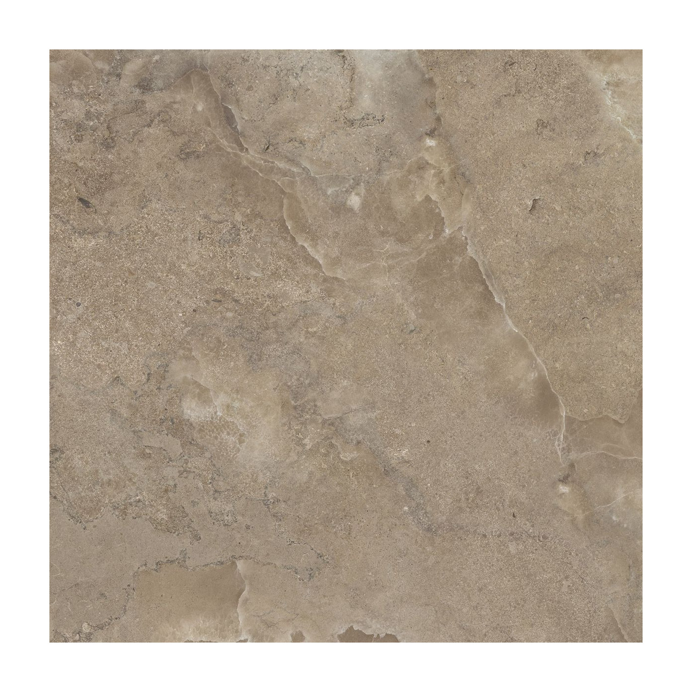 Płytka Podłogowa Storm Slate Taupe 119,8x119,8 Lapp. Paradyż