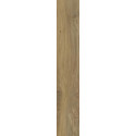 Płytka Specialwood Wood Honey Struktura Mat 19,8x119,8 Paradyż Classica