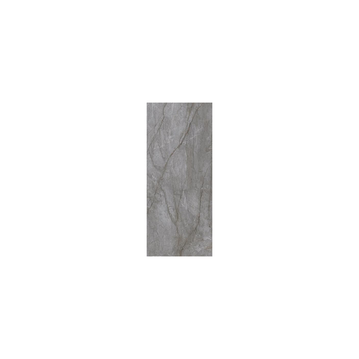 Płytka Visioner Grey Lappato 119,8x279,8 Paradyż My Way