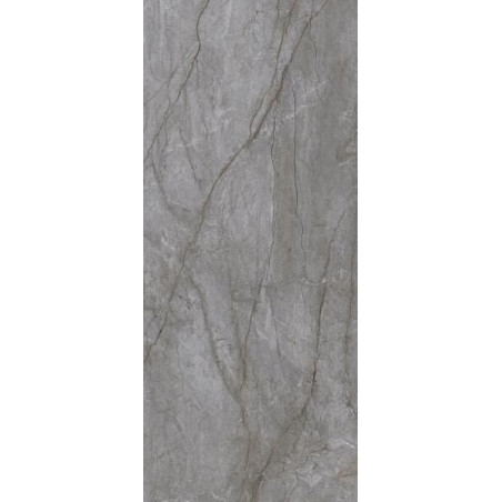 Płytka Visioner Grey Lappato 119,8x279,8 Paradyż My Way
