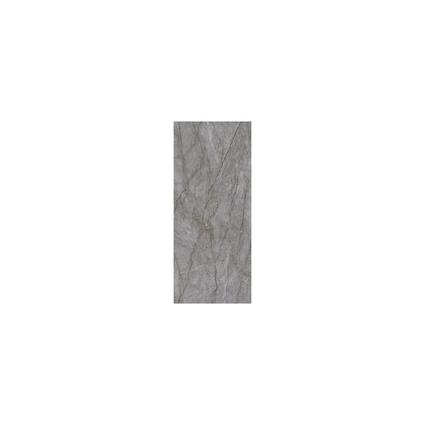 Płytka Visioner Grey Lappato 119,8x279,8 Paradyż My Way