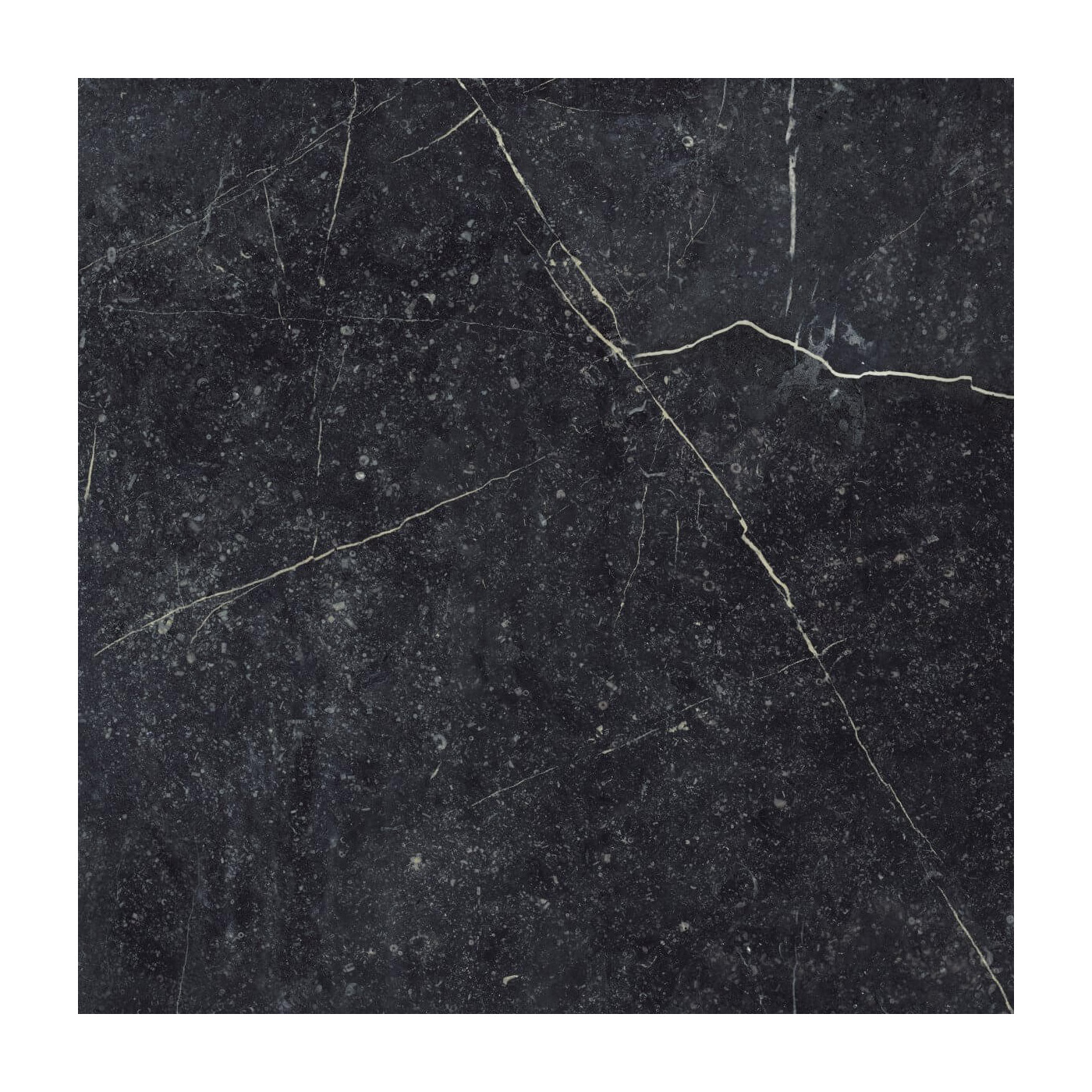 Gres Szkliwiony Rektyfikowany Barro Nero 59,8x59,8 Paradyż My Way