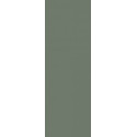 Płytka Nightwish Green Mat 25x75 Paradyż