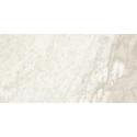 Evoluta Modern Naturale 60x119,5 Piemme