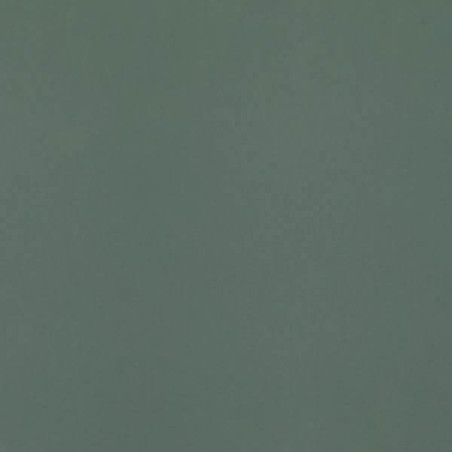 Płytka Neve Creative Dark Green Mat 19,8x19,8 Paradyż