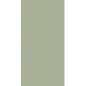Płytka Ścienna Feelings Green 29,8X59,8 Paradyż