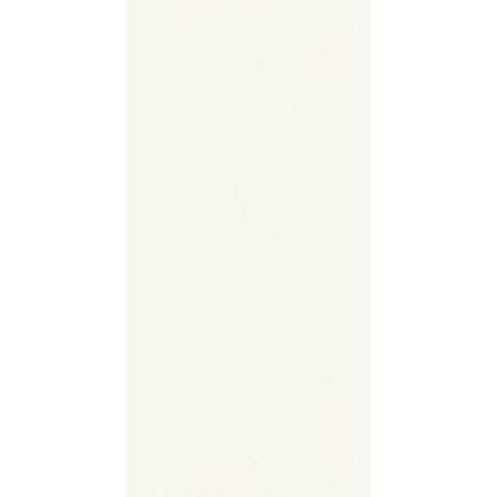 Płytka Gamma Bianco Mat 9,8x19,8 Paradyż