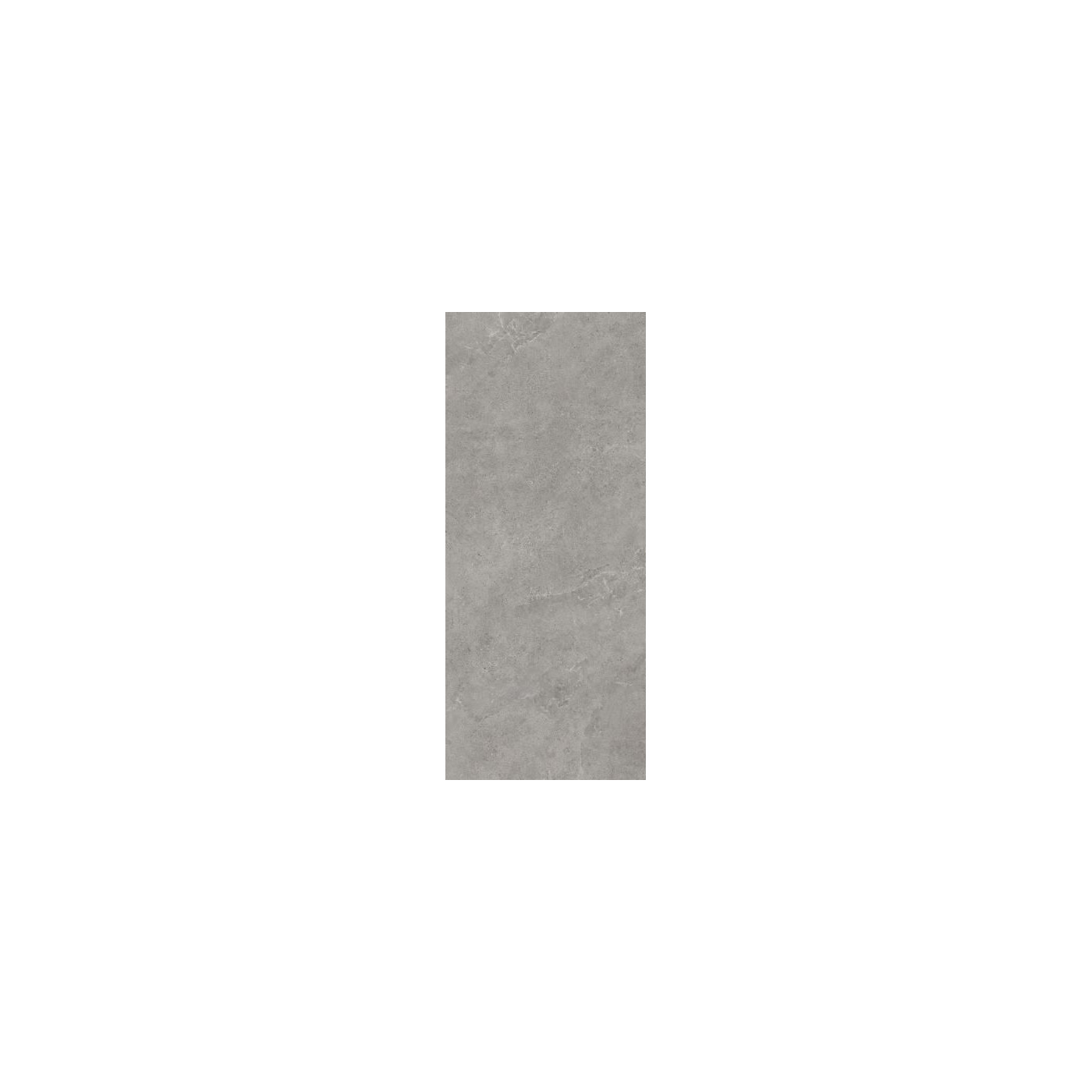 Płytka Authority Grey Mat 279,8x119,8 Paradyż My Way