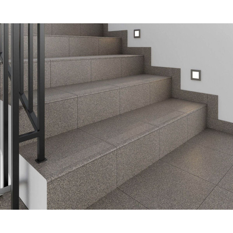 Gres techniczny Impregnowany Virginia 30X30 Paradyż Classica