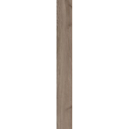 Płytka Wildland Naturale Mat 19,8X119,8 Paradyż
