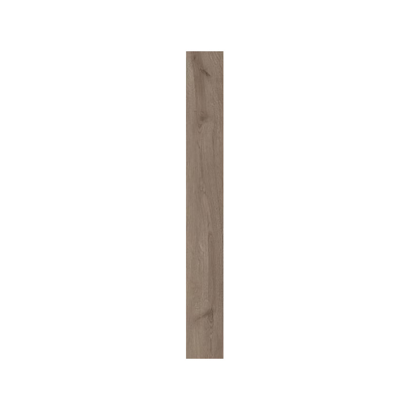Płytka Wildland Naturale Mat 19,8X119,8 Paradyż