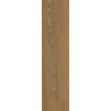 Płytka Tarasowa Trueland Honey Mat 29,5X119,5 Paradyż