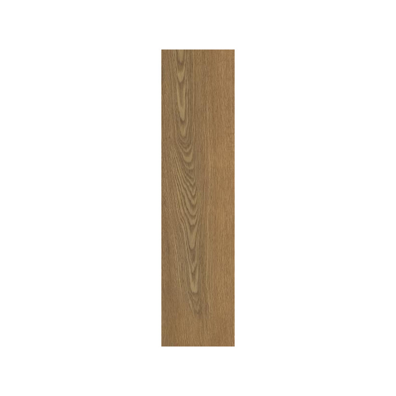 Płytka Tarasowa Trueland Honey Mat 29,5X119,5 Paradyż