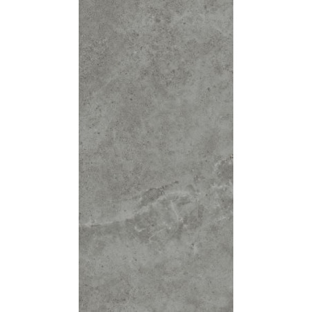 Płytka Tarasowa Authority Grey Struktura 59,5X119,5 Paradyż My Way