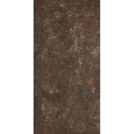 Płytka Ilario Brown Struktura 30X60 Paradyż