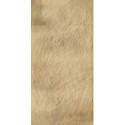 Płytka Eremite Sand Struktura 30X60 Paradyż