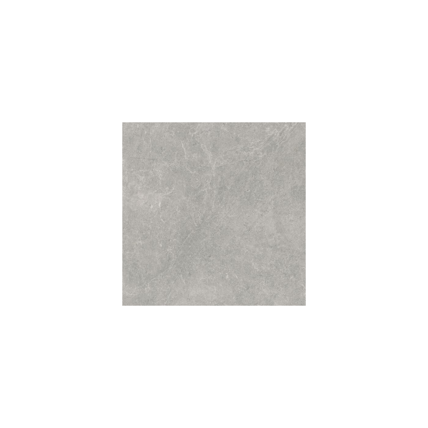 Płytka U118 Grey Lappato 59,8X59,8 Paradyż