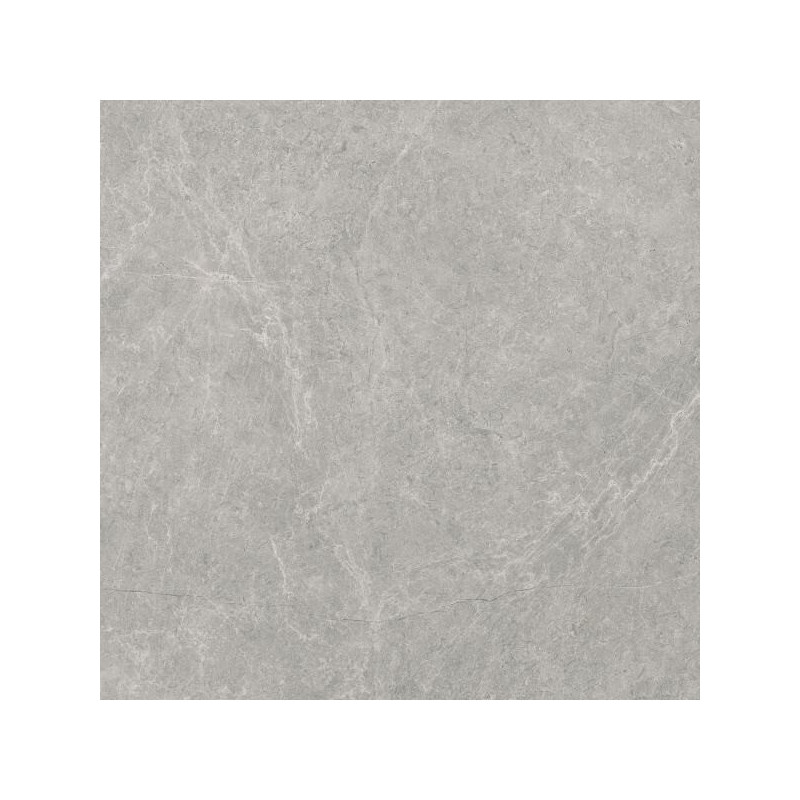 Płytka U118 Grey Lappato 59,8X59,8 Paradyż