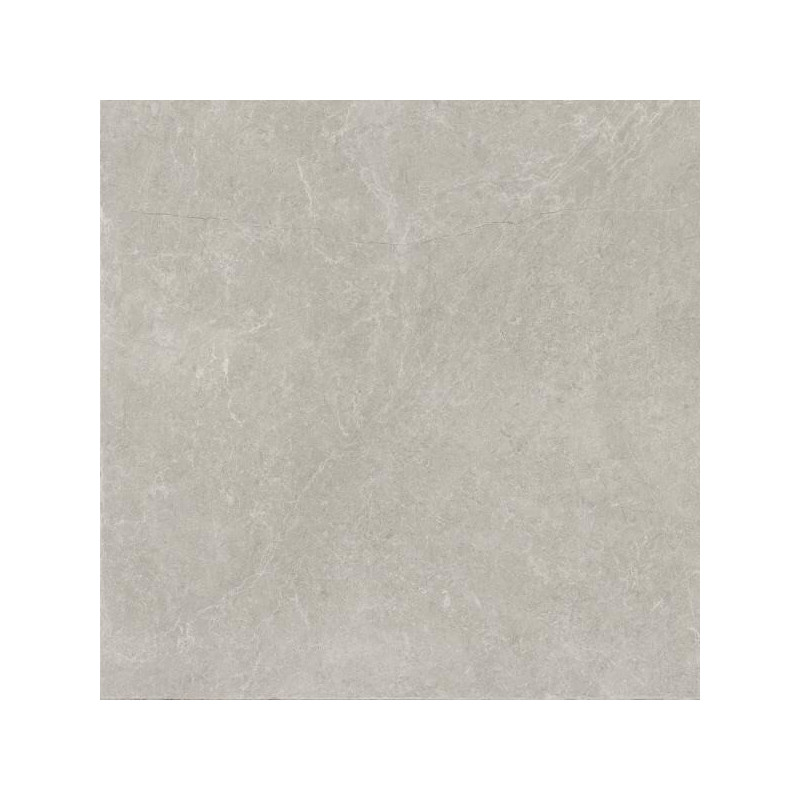 Płytka U118 Light Grey Mat 59,8X59,8 Paradyż