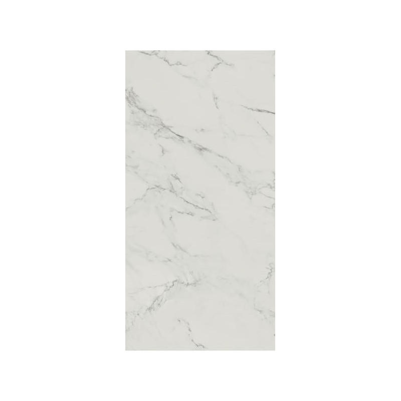 Płytka Carrastone White Mat 59,8x119,8 Paradyż Classica