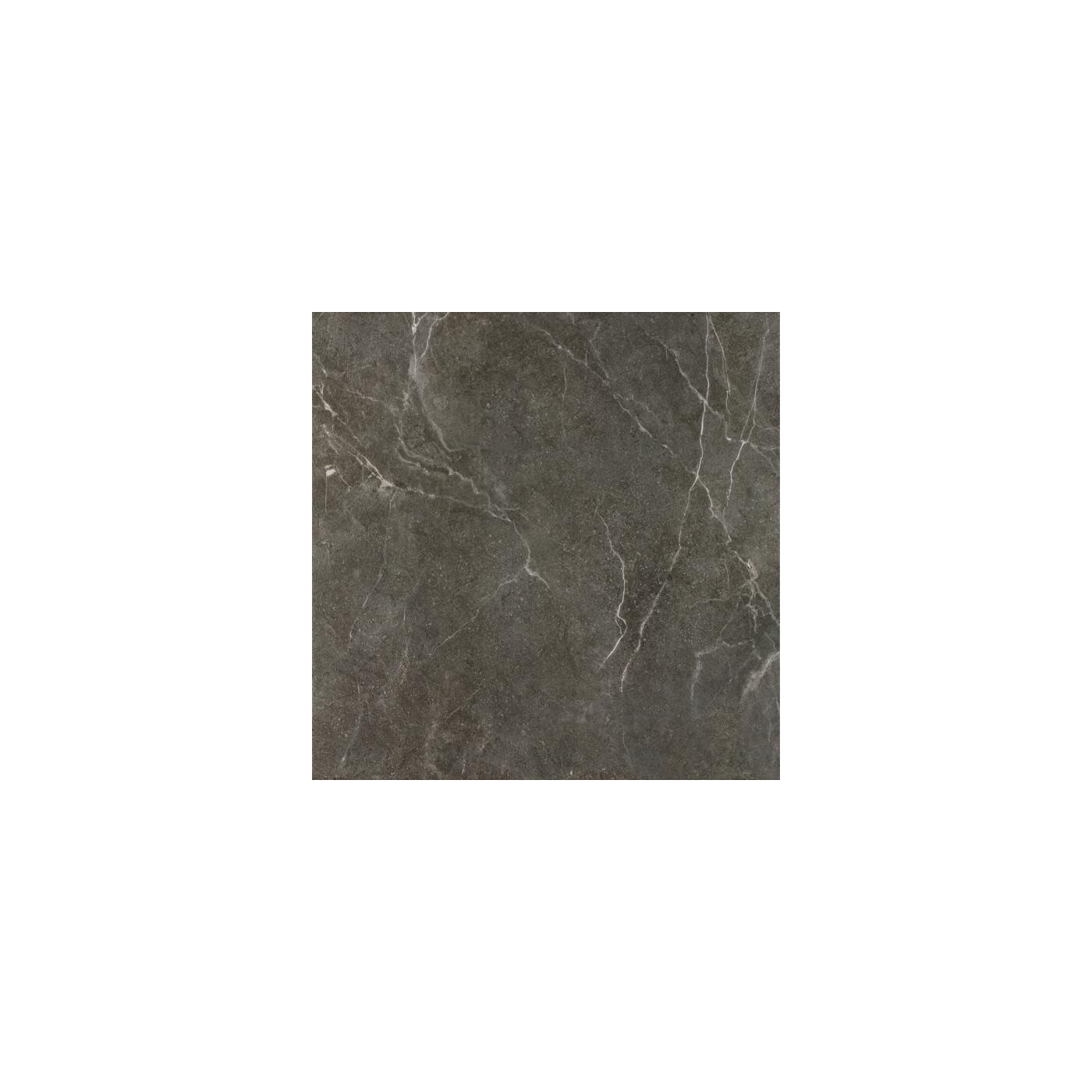 Płytka Ibis Antracite Mat 60x60 Paradyż