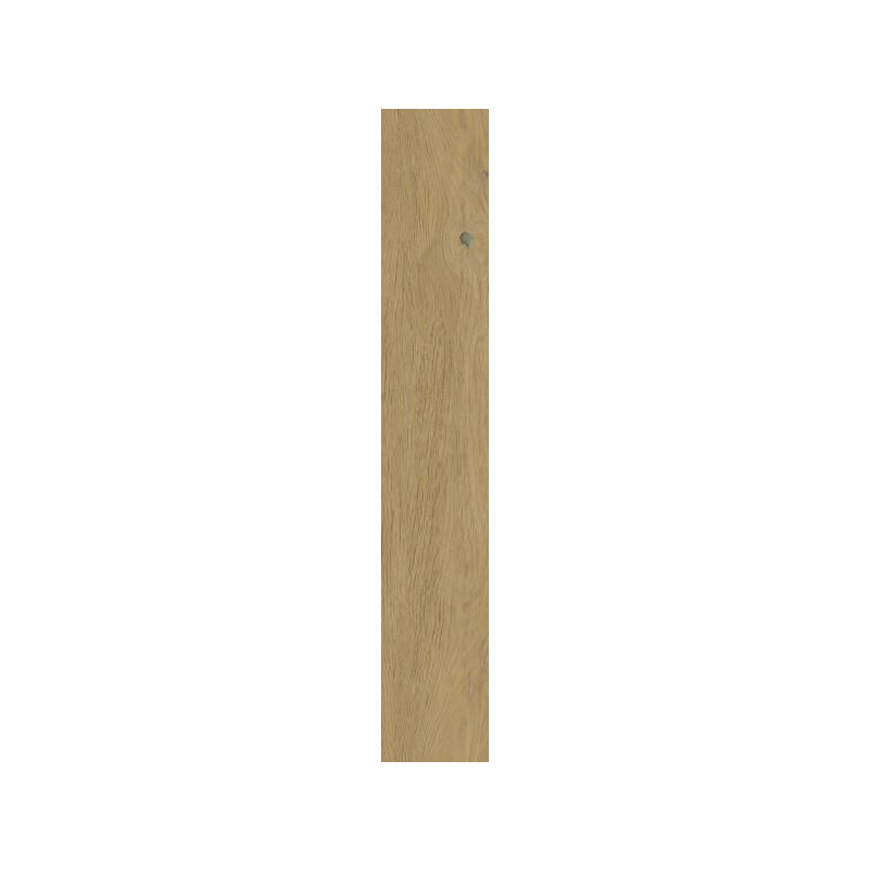 Płytka Spacewood Gold Struktura Mat 19,8x119,8 Paradyż Classica