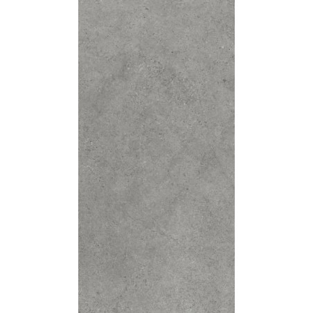 Płytka Authority Grey Mat 119,8x59,8 Paradyż My Way