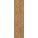 Płytka Tarasowa Trueland Gold Mat 29,5x119,5 Paradyż
